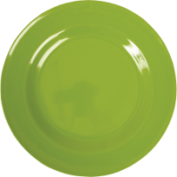 Apple Green Melamine Dinner Plate by Rice DK